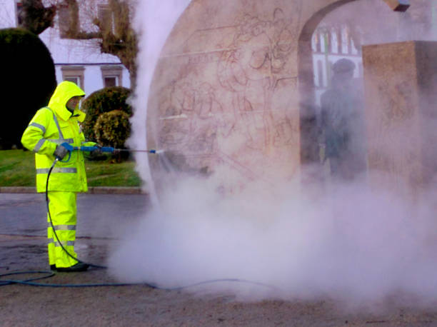 Best Local Pressure Washing Services  in Dixon, MO